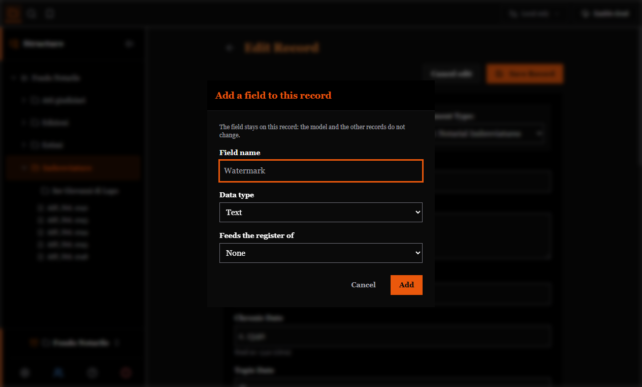 The window for adding a field to a single record, with name and type