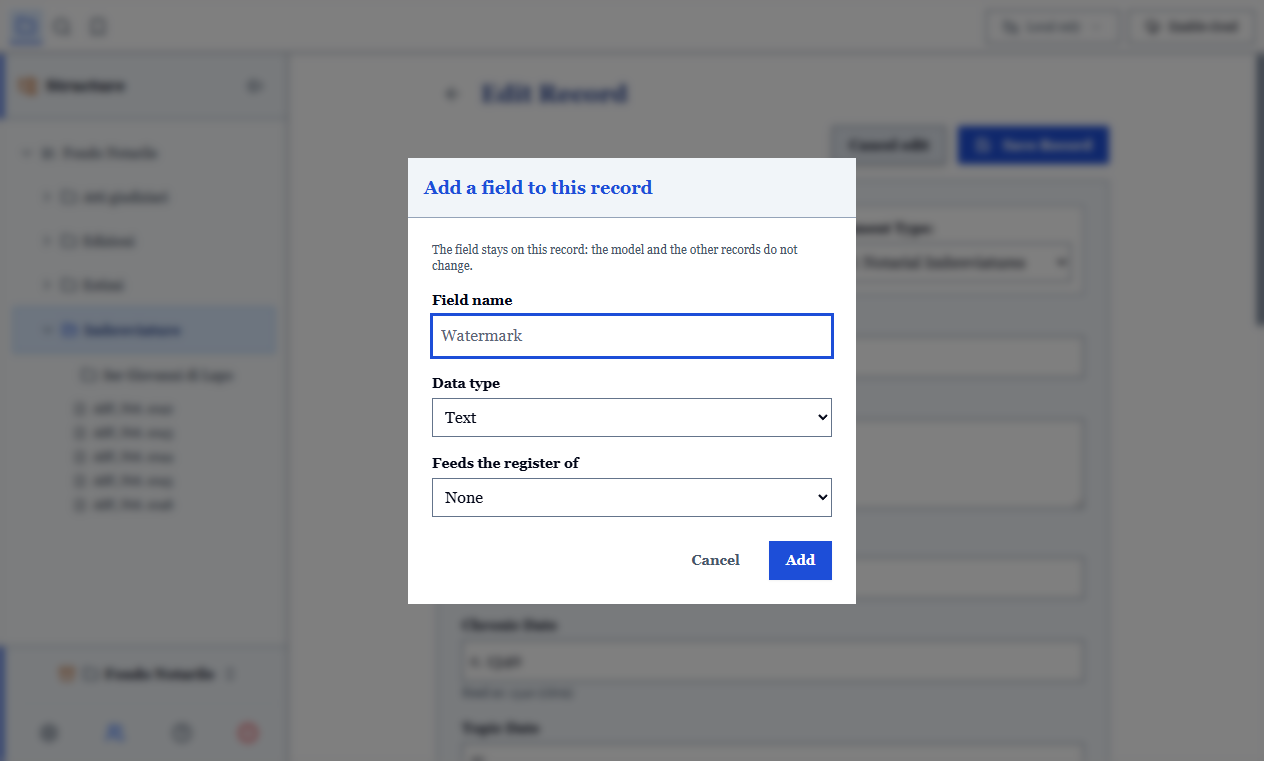 The window for adding a field to a single record, with name and type